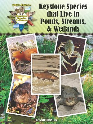 cover image of Keystone Species that Live in Ponds, Streams, & Wetlands